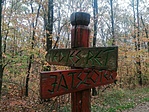 IMG_20221029_121633