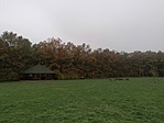 IMG_20221029_121815