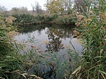 IMG_20221029_134719