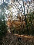 IMG_20221102_112620