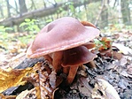 IMG_20221102_121959