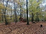 IMG_20221102_130313