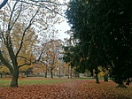 IMG_20221104_122419