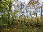 IMG_3023