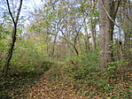 IMG_3033