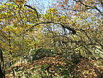 IMG_3127