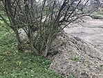 IMG_9096