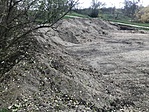 IMG_9098
