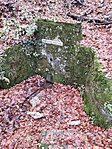 IMG_20221120_144357