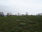 DSC07178