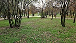 GCOHGY_20221106_150425