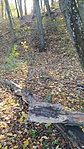 IMG_20221112_122558