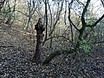 IMG_20221113_143131
