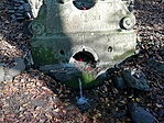 IMG_20221113_141959