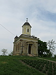 IMG_0263