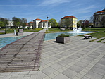 IMG_0173