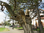 IMG_0179