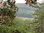 IMG_1025