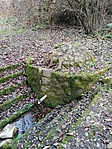 IMG_20221119_121050