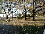 IMG_20221113_132343
