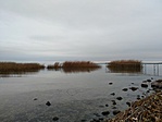 IMG_20221106_140937