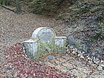 forrás