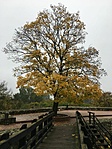 IMG_1326