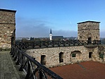 IMG_1329