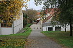 IMG_3451