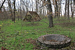 IMG_3592