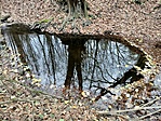IMG20221120100356