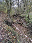 IMG_20221105_141708.jpg