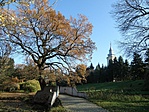 PB137968