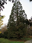 PB137904