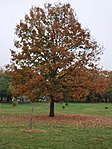 IMG_20221103_102126