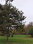 IMG_20221103_102139