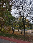 IMG_20221103_103211