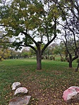 IMG_20221103_103416