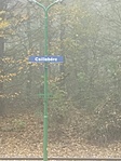 IMG_20221103_131925