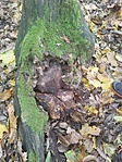 IMG_20221103_133157