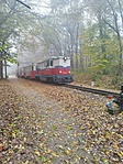 IMG_20221103_134528