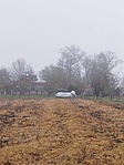 IMG_20221108_115832
