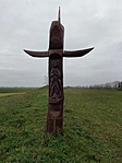 IMG_20221127_120252