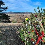 IMG_20221228_133407_932