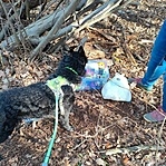 IMG_20221228_133407_958