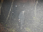 20221224-3611