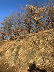 IMG_8301