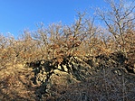 IMG_8303