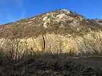 IMG_8305