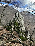 IMG_8311